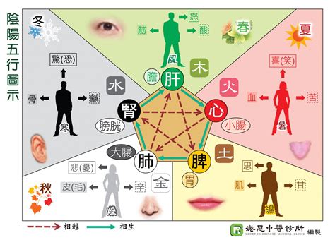 五行五官|中醫知識 